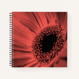 Carnet Photo, macro