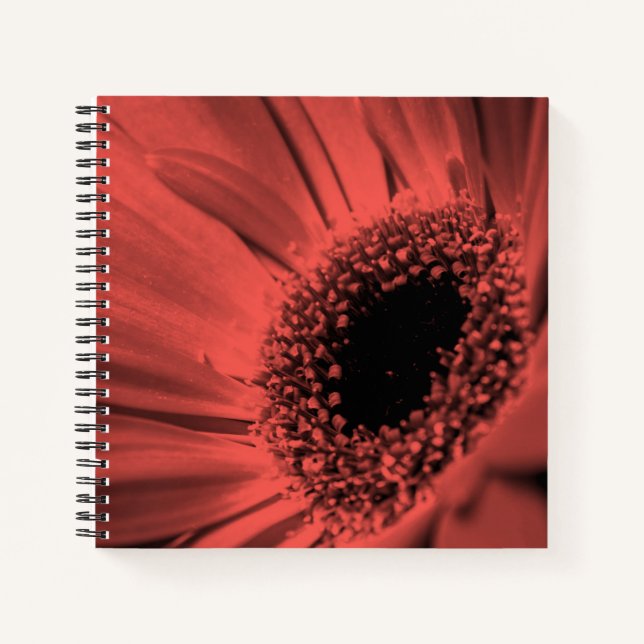 Carnet Photo, macro (Devant)