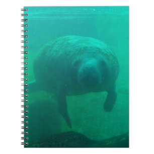 Carnet photo Manatee Spiral