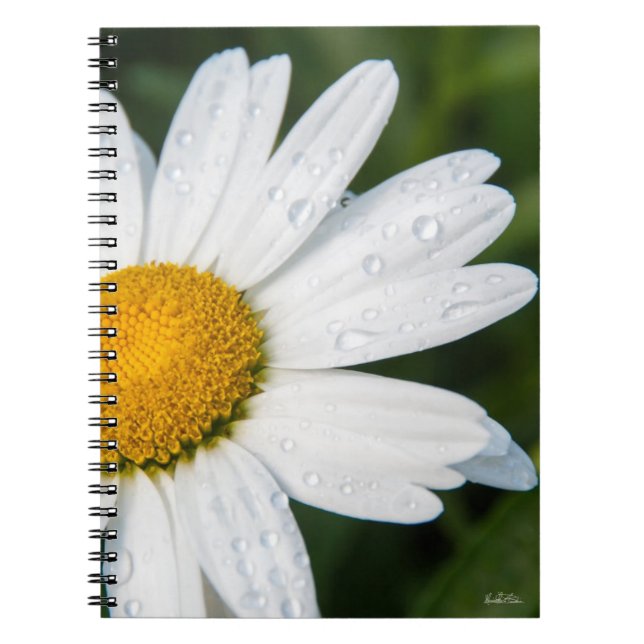 carnet photo marguerite (Devant)