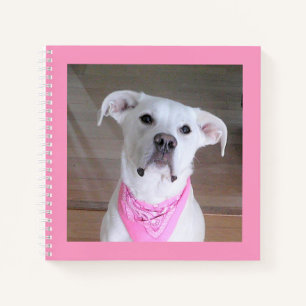 Carnet Photo mignonne d'un chien blanc portant une écusso