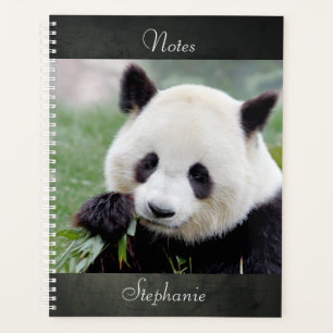 Carnet Photo panda géant, animaux 01. carnet