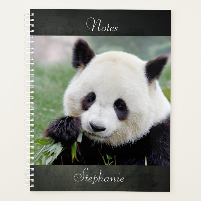 Carnet Photo panda géant, animaux 01. carnet (Devant)