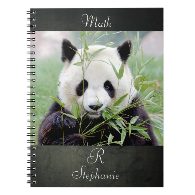 Carnet Photo panda géant, animaux 0290. (Devant)