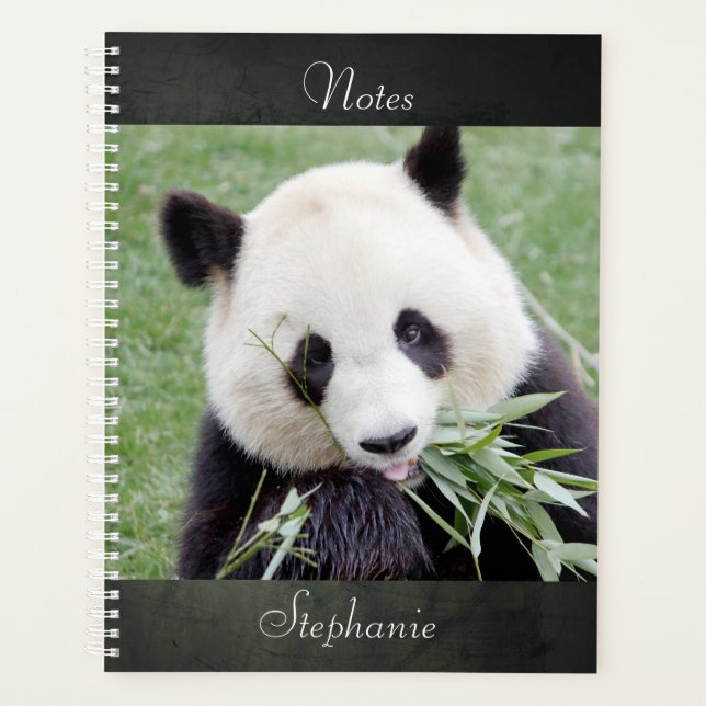 Carnet Photo panda géant, animaux 03. carnet (Devant)