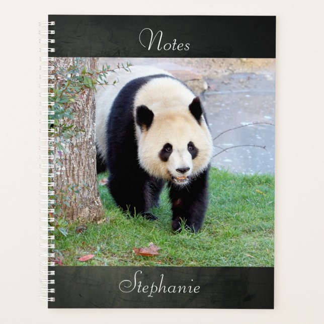 Carnet Photo panda géant, animaux 05. carnet (Devant)