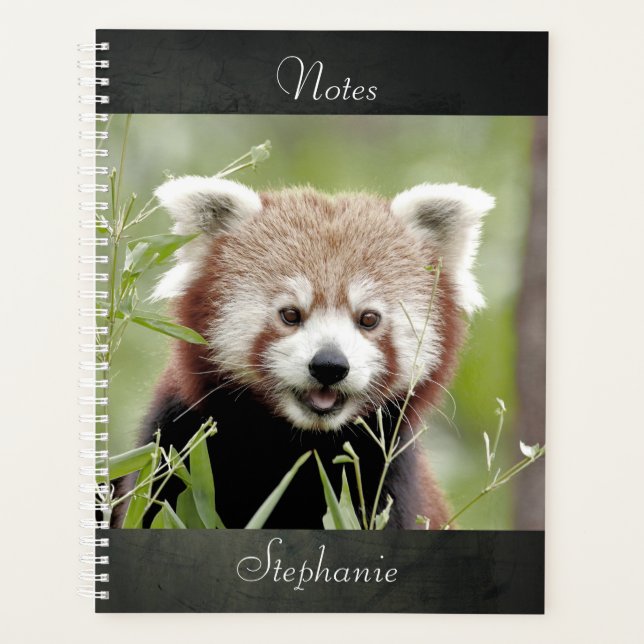 Carnet Photo panda rouge, animaux 01. carnet (Devant)