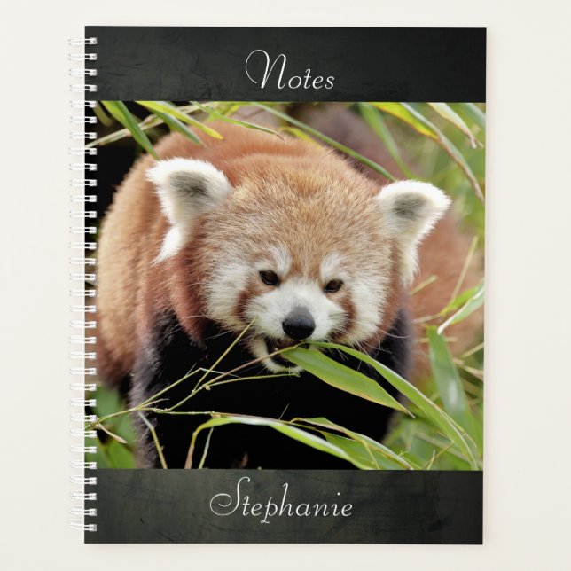 carnet Photo panda rouge, animaux 02. carnet (Devant)