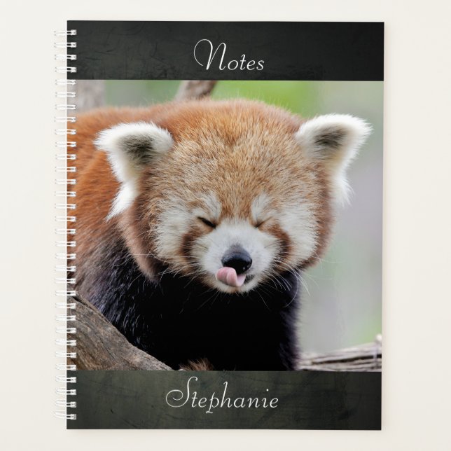 carnet Photo panda rouge, animaux 03. carnet (Devant)
