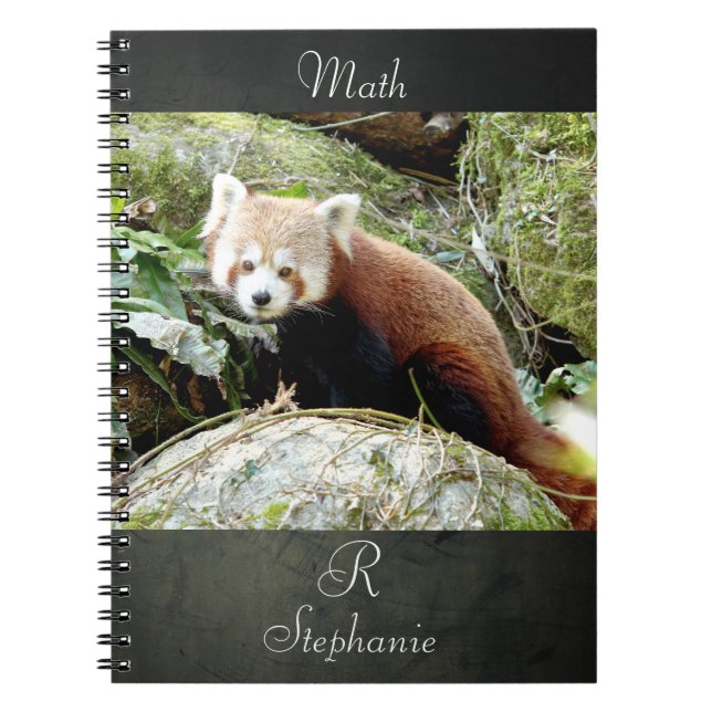 Carnet Photo panda rouge, animaux 0437. (Devant)