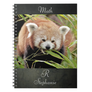 Carnet Photo panda rouge, animaux 0443.