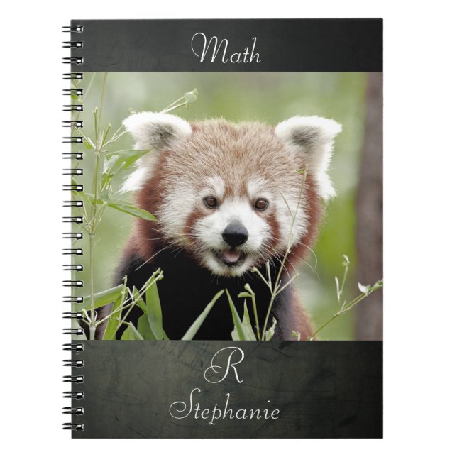 Carnet Photo panda rouge, animaux 0443. carnet (Devant)