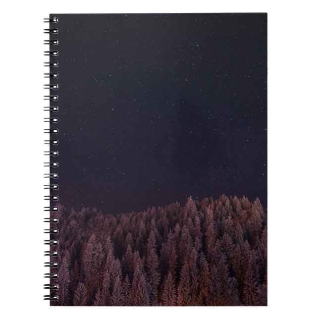 CARNET PHOTO PAYSAGE DES ARBRES (Devant)