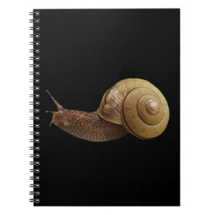 Carnet photo réelle d'escargot