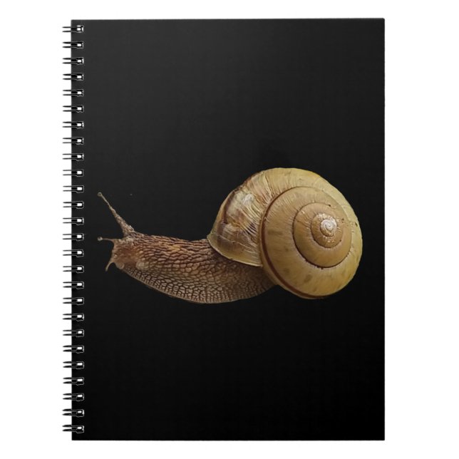 Carnet photo réelle d'escargot (Devant)