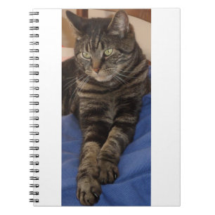 Carnet photo Regal Dave (80 Pages)
