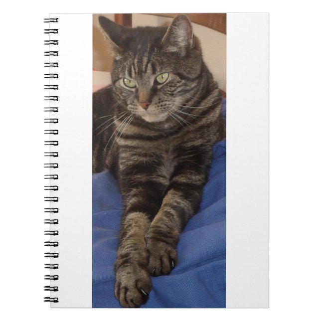 Carnet photo Regal Dave (80 Pages) (Devant)
