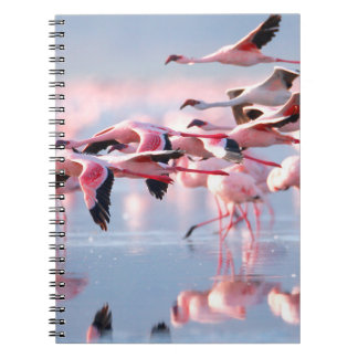 Carnet Photo retro. Texture papier. Âgé texturé