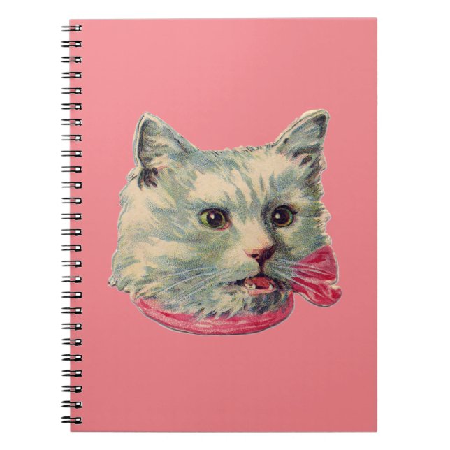 Carnet photo rose Vintage Fancy Chat Spiral (Devant)