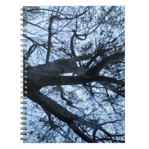 Carnet photo Silhouette Arbre