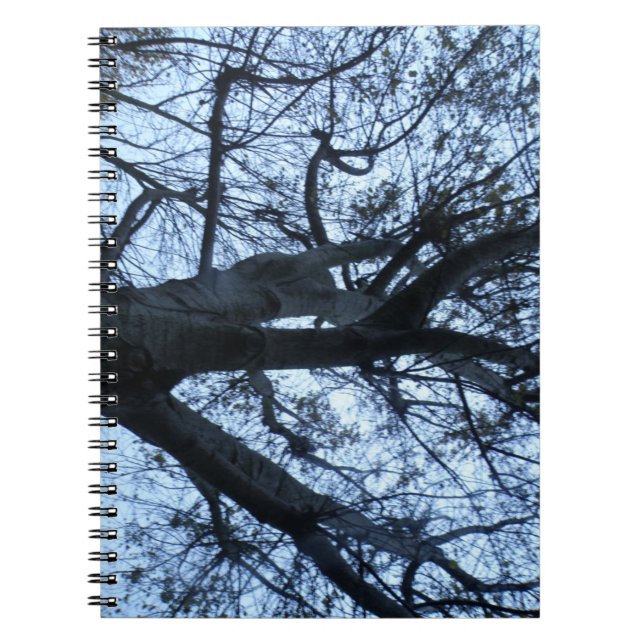 Carnet photo Silhouette Arbre (Devant)