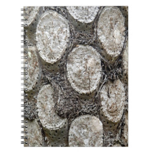 Carnet photo Silver Fern Tree