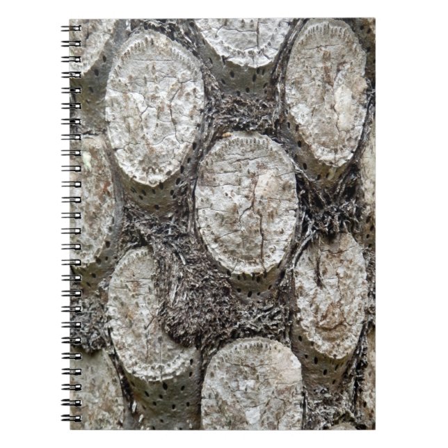 Carnet photo Silver Fern Tree (Devant)