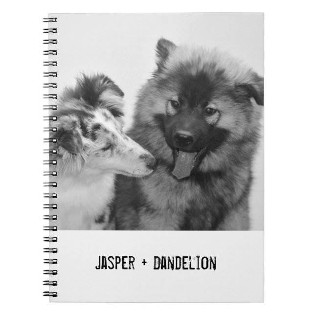Carnet Photo simple, moderne personnalisée pour animaux d (Devant)