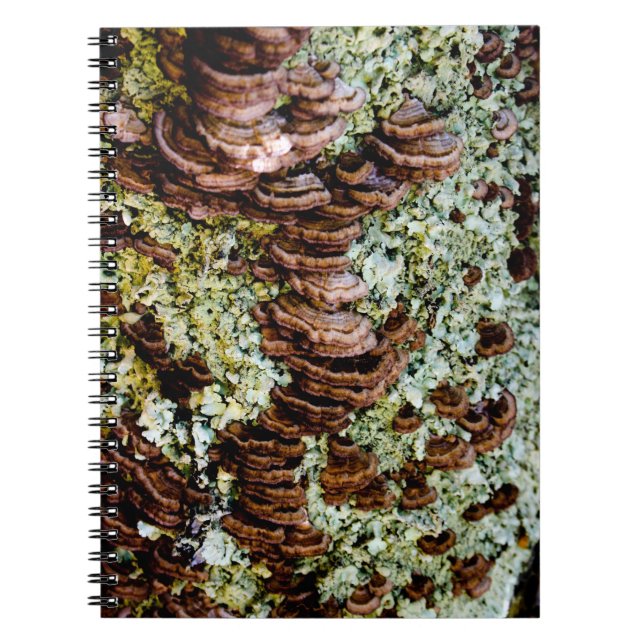 Carnet photo spirale de champignons verts et Brown (Devant)