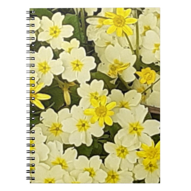 Carnet photo Spring Primroses (Devant)