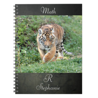 carnet Photo tiger, animaux.