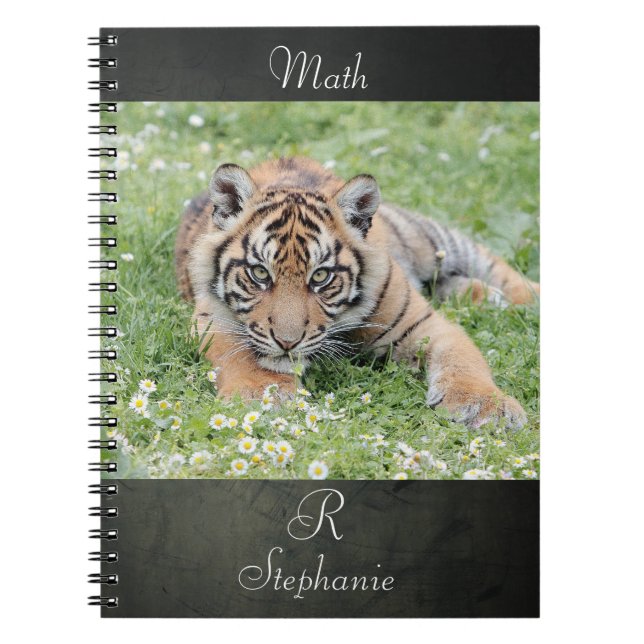 Carnet Photo tiger, animaux 0254. (Devant)