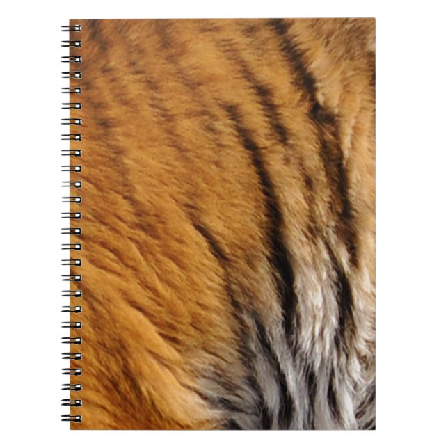 Carnet Photo Tiger Stripes Big Cat Wildlife (Devant)