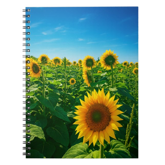 Carnet Photo tournesol vibrante (Devant)