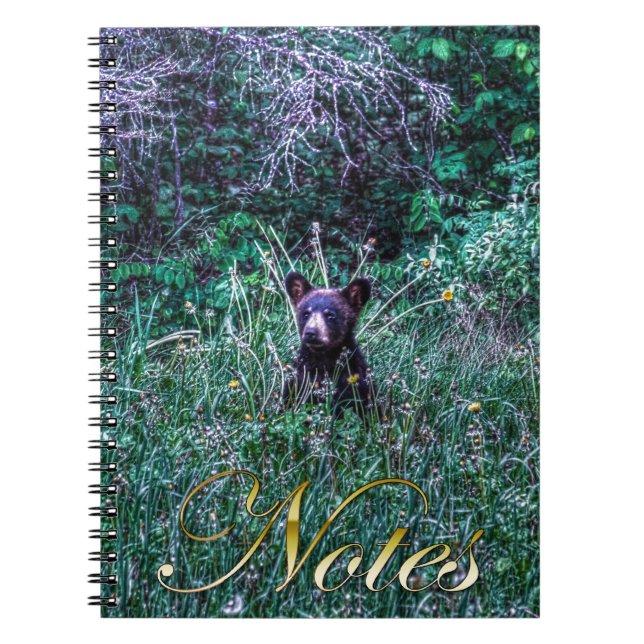 Carnet Photo Wild Black Bear Cub Wildlife (Devant)