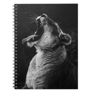 CARNET PHOTOGRAPHIE À GRANDE ÉCHELLE DE LA LIONTÉ JEUNE