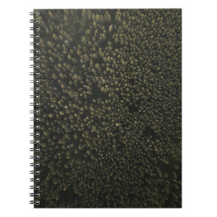 Carnet Photographie aérienne de grands arbres verts