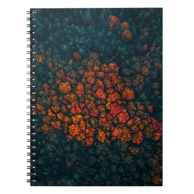 Carnet Photographie aérienne de la forêt (Devant)