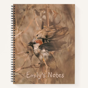 Carnet Photographie de faune de moineaux domestiques avec