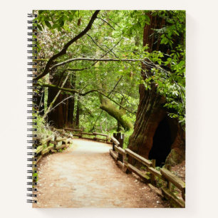 Carnet Photographie de la nature du chemin de Muir Woods