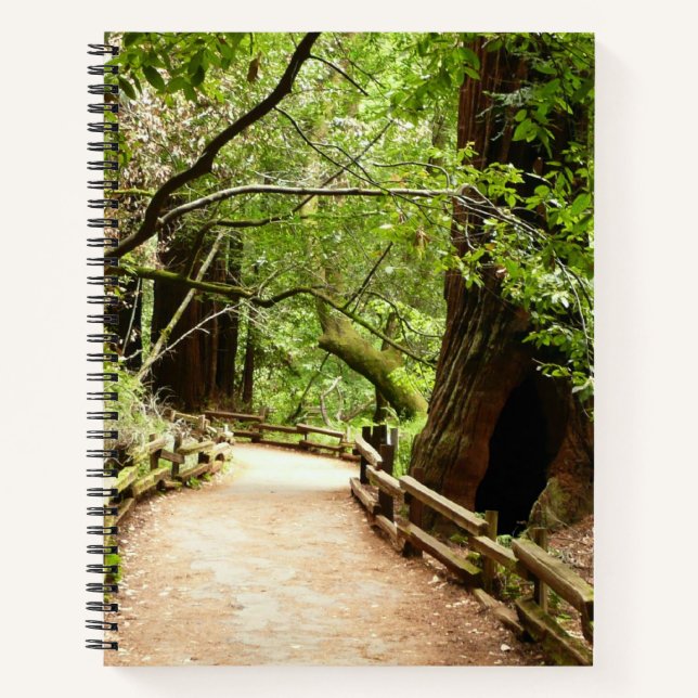 Carnet Photographie de la nature du chemin de Muir Woods  (Devant)