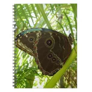 Carnet Photographie de la nature du papillon Morpho bleu