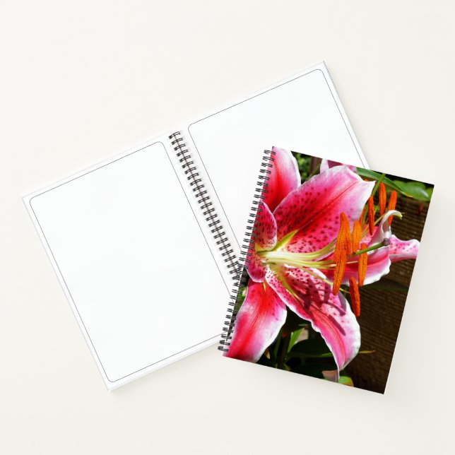 Carnet Photographie de Lilium 'Stargazer' (Intérieur)