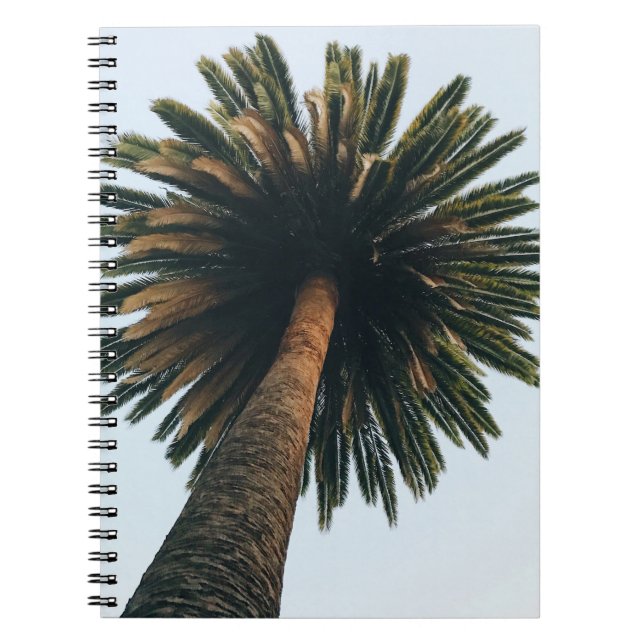 Carnet Photographie de l'oeil de ver de palmier (Devant)