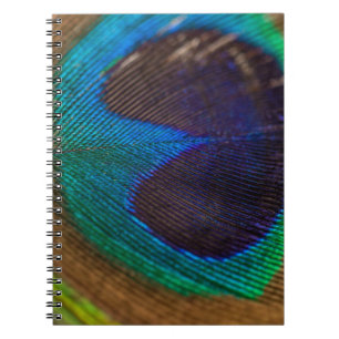 Carnet Photographie de plumes de paon