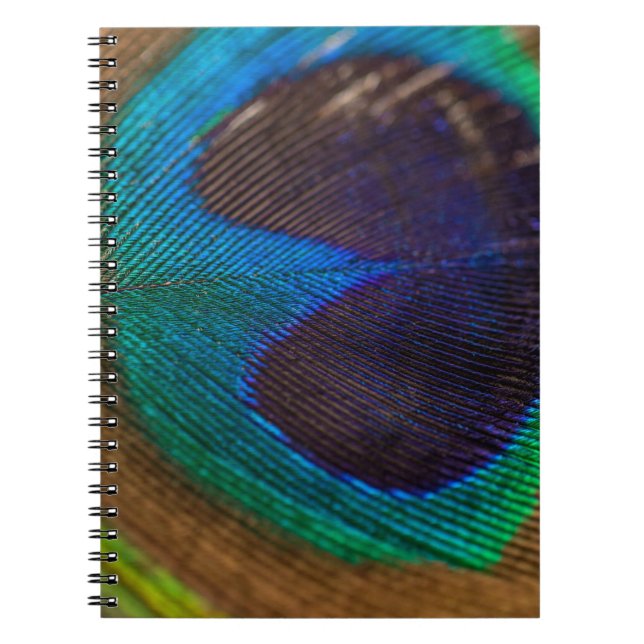 Carnet Photographie de plumes de paon (Devant)