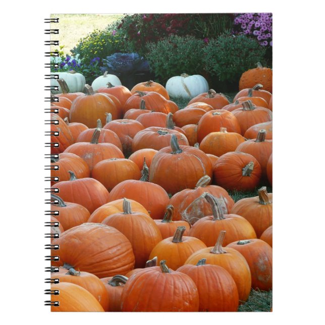 Carnet Photographie de récolte d'automne des citrouilles  (Devant)