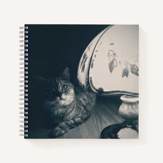 Carnet Photographie de style noir de chats et lampes (Devant)