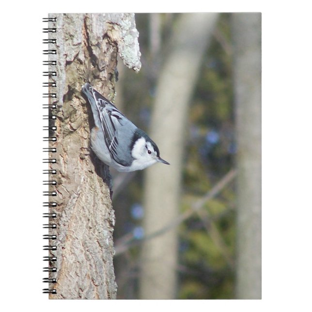 Carnet Photographie d'oiseau gris (Devant)