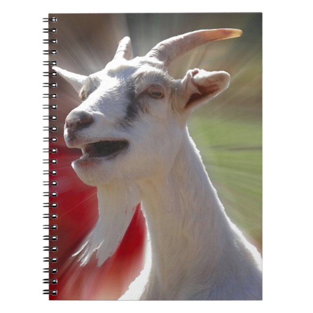 Carnet Photographie drôle de chèvre de Tallking (Devant)
